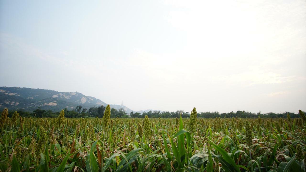 金門廣緣民宿 Guang Yuan B&B Jinsha Eksteriør bilde